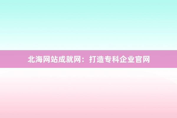 北海网站成就网：打造专科企业官网